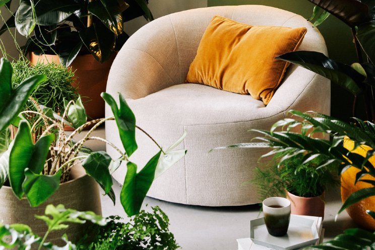 Planten onmisbaar in hedendaags interieur Planten onmisbaar in hedendaags interieur