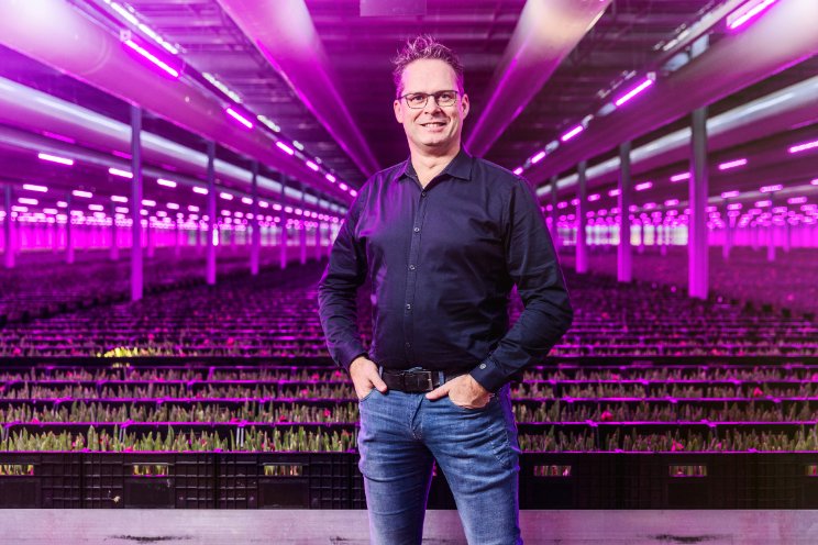 6 voordelen HVAC-systeem voor vertical farming 6 voordelen HVAC-systeem voor vertical farming