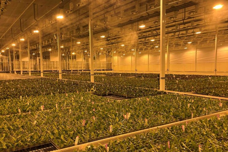 Nieuwe productielocatie voor Sion in Canada Nieuwe productielocatie voor Sion in Canada