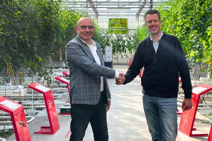 Tomatoworld en Orance bundelen krachten Tomatoworld en Orance bundelen krachten