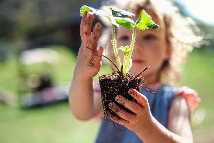 Kinderfestival bij WUR: Reis van de paprika Kinderfestival bij WUR: Reis van de paprika