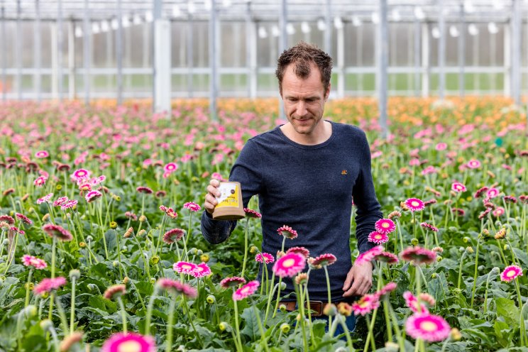 TRICHOcontrol: geen rupsen en minder chemie