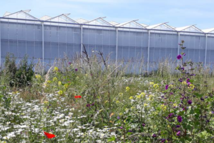 Deelnemers gezocht voor biodiversiteits-project