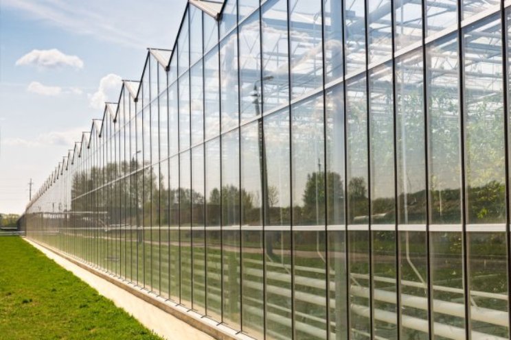 HAS green academy biedt cursus CSRD aan HAS green academy biedt cursus CSRD aan