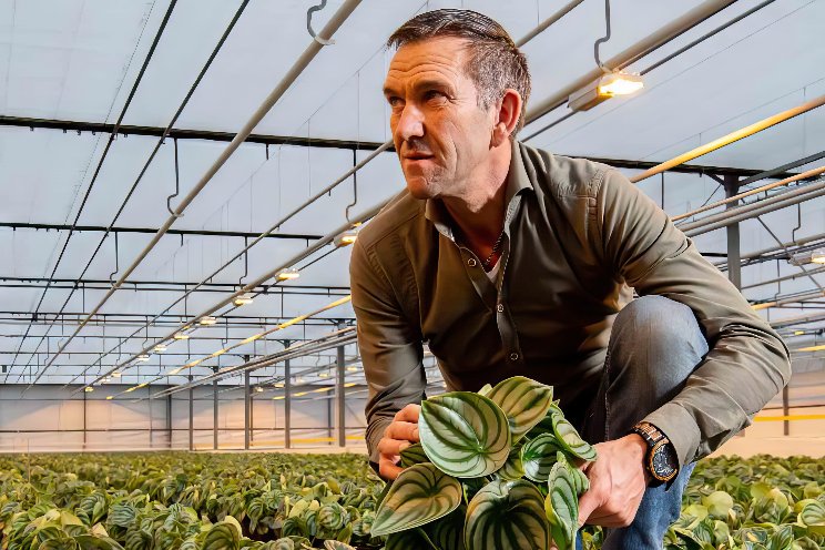 'Betalingsgarantie een van de sterkste punten' 'Betalingsgarantie een van de sterkste punten'