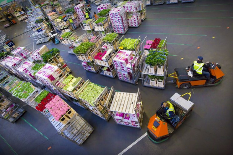Royal FloraHolland reageert op asbestuitspraak Royal FloraHolland reageert op asbestuitspraak