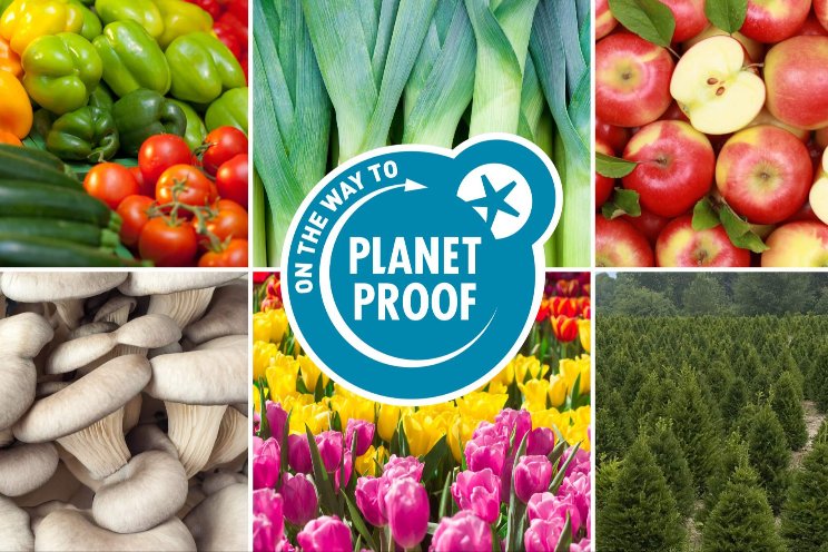 Lichte groei voor areaal 'On the way to PlanetProof' Lichte groei voor areaal 'On the way to PlanetProof'