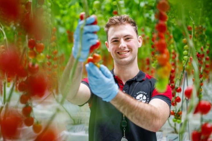 'Tuinbouw interessanter voor jongeren door AI' 'Tuinbouw interessanter voor jongeren door AI'