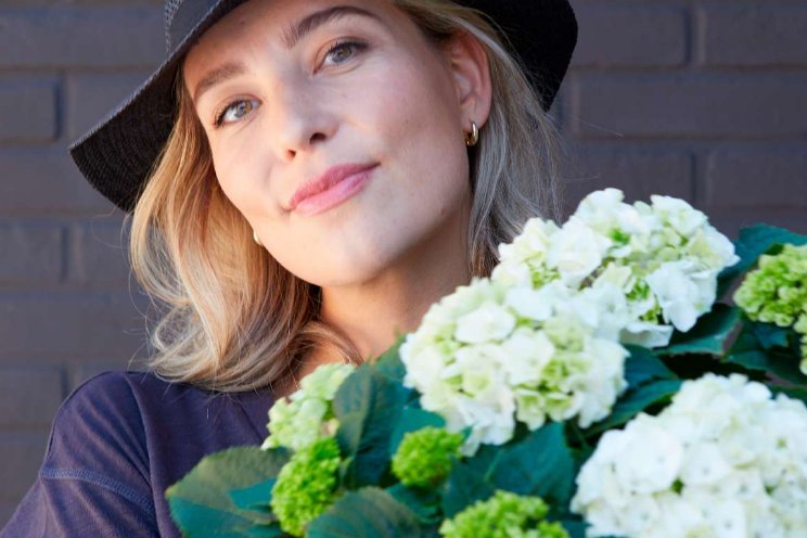 200 jaar hortensia in Nederland 200 jaar hortensia in Nederland