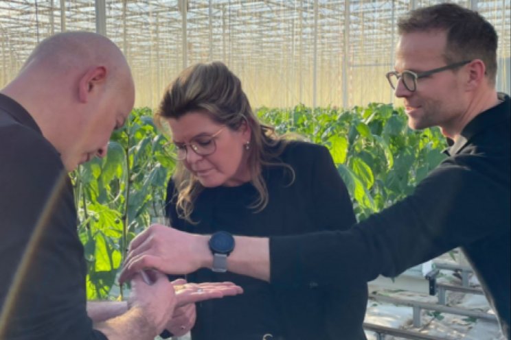 Minister Vd Wal bezoekt Wijnen Square Crops