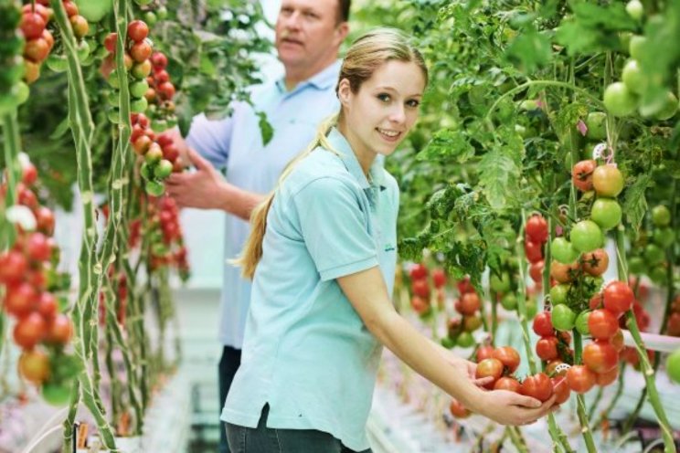 Hoe houden we werken in de tuinbouw ook plezierig? Hoe houden we werken in de tuinbouw ook plezierig?