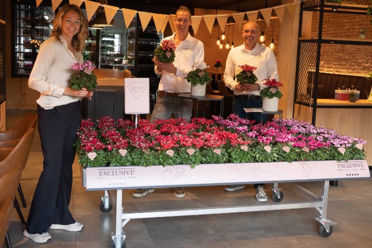 Bergcamp introduceert Cyclamen Exclusive Bergcamp introduceert Cyclamen Exclusive