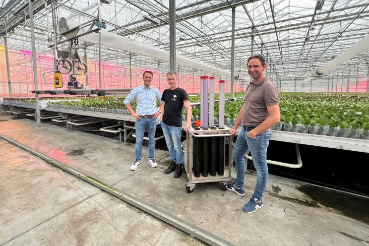 Nieuwe biologieverdeler pakt trips effectief aan Nieuwe biologieverdeler pakt trips effectief aan