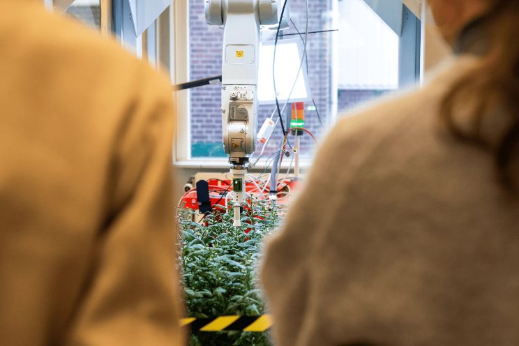 Robohouse en Zentoo werken aan knoprobot Robohouse en Zentoo werken aan knoprobot