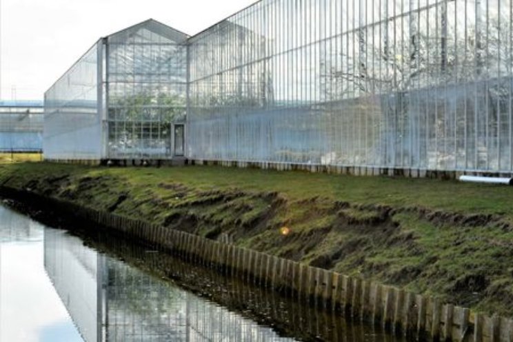 Eindrapport: impact middelen op milieu Eindrapport: impact middelen op milieu