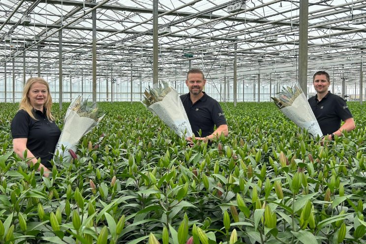 Nieuwe herkenbare verpakking Klaver Flowers Nieuwe herkenbare verpakking Klaver Flowers