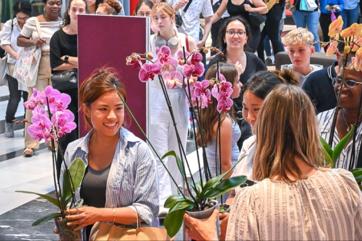 Telers schenken shoppers honderden orchideeën Telers schenken shoppers honderden orchideeën