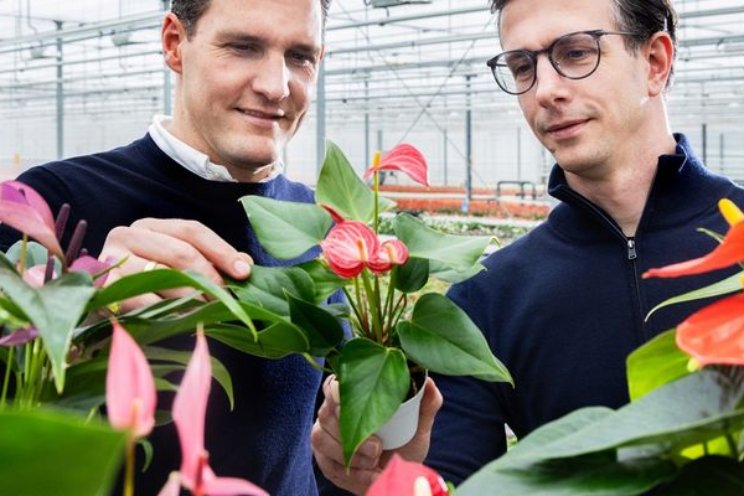 Hoe Stolk Brothers plant biologisch gezond houdt Hoe Stolk Brothers plant biologisch gezond houdt