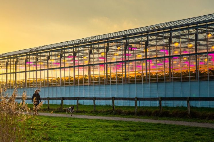 Lancering HortiScience Innovation Center Lancering HortiScience Innovation Center