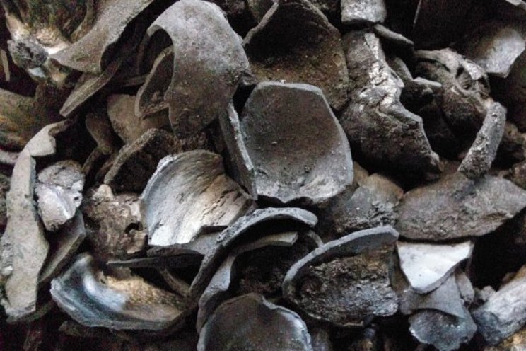 Biochar nog steeds niet goed bekend in tuinbouw Biochar nog steeds niet goed bekend in tuinbouw