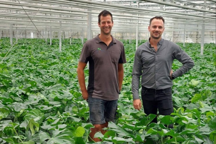 JK Plant kiest opnieuw voor een ErfGoedVloer JK Plant kiest opnieuw voor een ErfGoedVloer