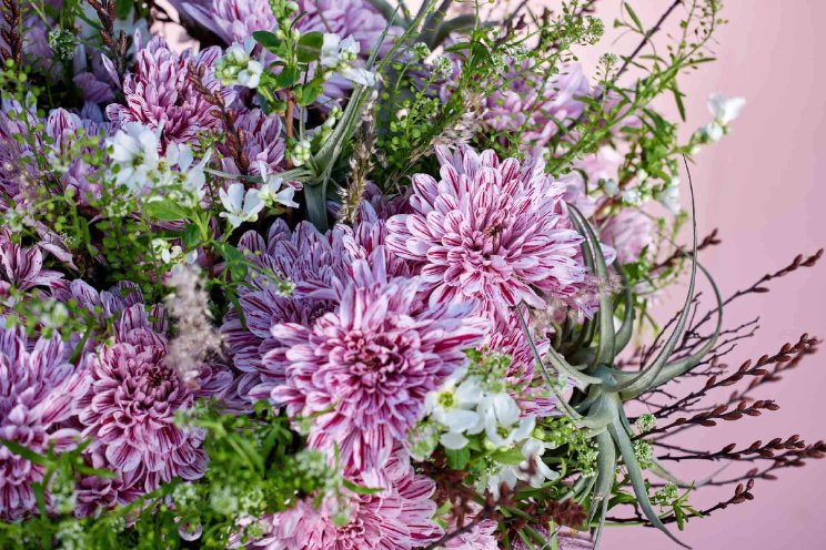 Wat zijn de mooiste bloemen voor Vrouwendag? Wat zijn de mooiste bloemen voor Vrouwendag?