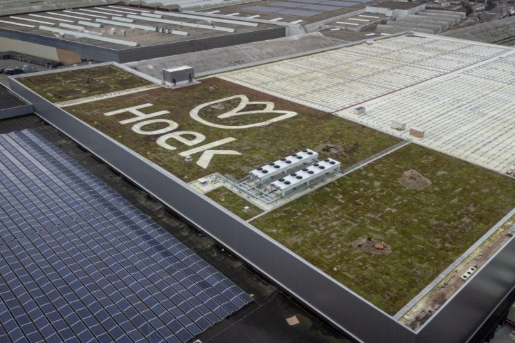 Dit doen Anthura en Hoek group aan biodiversiteit Dit doen Anthura en Hoek group aan biodiversiteit