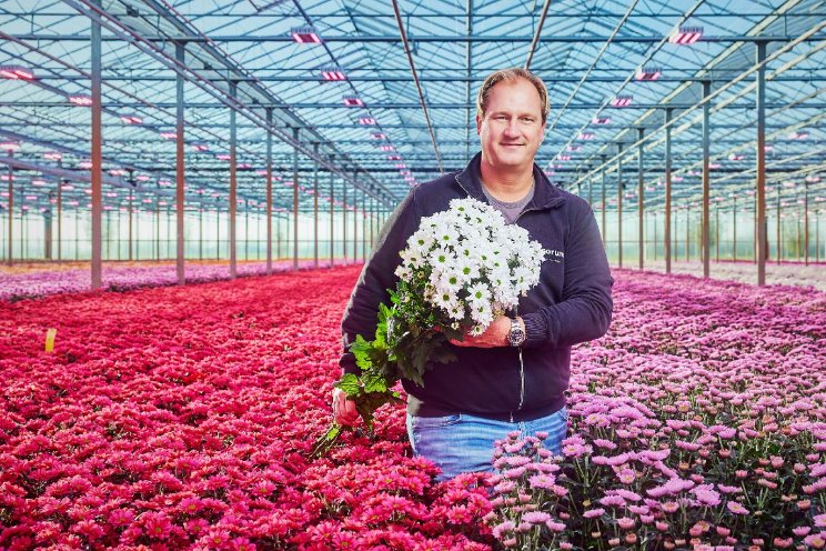 Betere takstrekking door lamp met stuurbaar verrood Betere takstrekking door lamp met stuurbaar verrood
