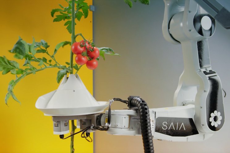 'Robotkas is rendabeler dan een traditionele kas' 'Robotkas is rendabeler dan een traditionele kas'