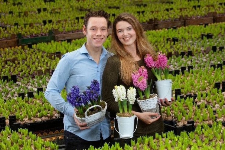 Hyacinten verkocht voor jonge mensen met kanker Hyacinten verkocht voor jonge mensen met kanker