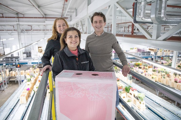 Primeur Hoek flowers met recyclebare exportdoos Primeur Hoek flowers met recyclebare exportdoos
