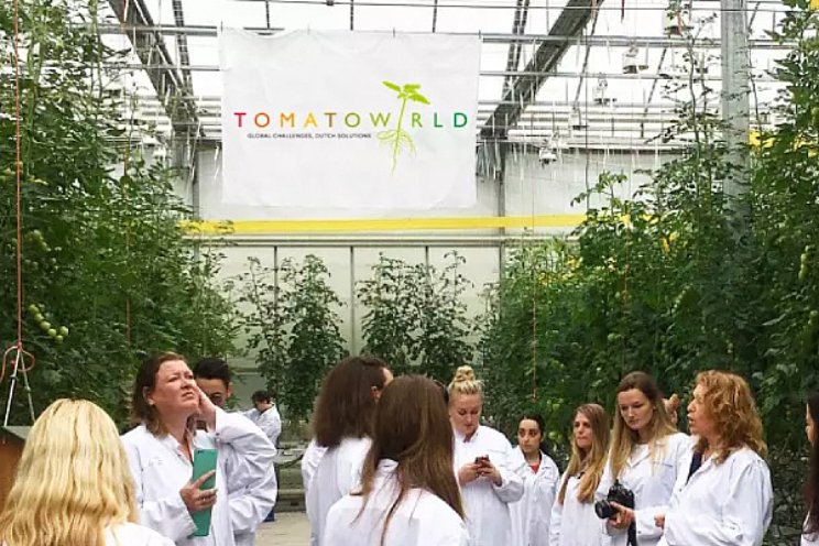 Tomatoworld opent de deuren voor publiek Tomatoworld opent de deuren voor publiek