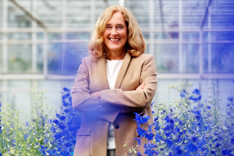 'Langdurige onzekerheid door kabinetsval' 'Langdurige onzekerheid door kabinetsval'