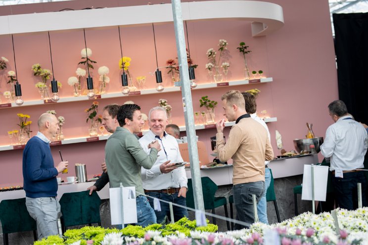 Nieuwe rassen Deliflor op 'chrysantenbelevenis' Nieuwe rassen Deliflor op 'chrysantenbelevenis'