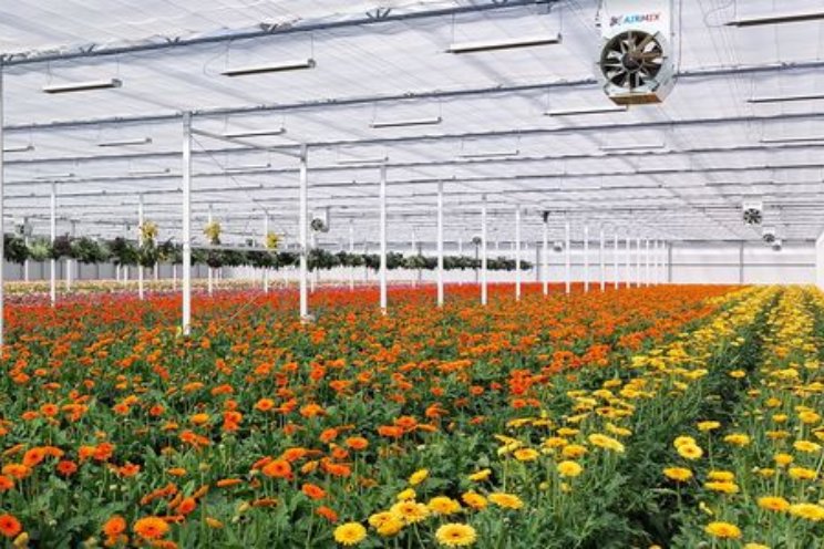 Start nieuwe PPS Bankerplanten Start nieuwe PPS Bankerplanten