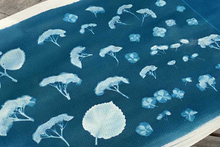 Boost hortensiaverkoop met nieuwe merchandise Boost hortensiaverkoop met nieuwe merchandise
