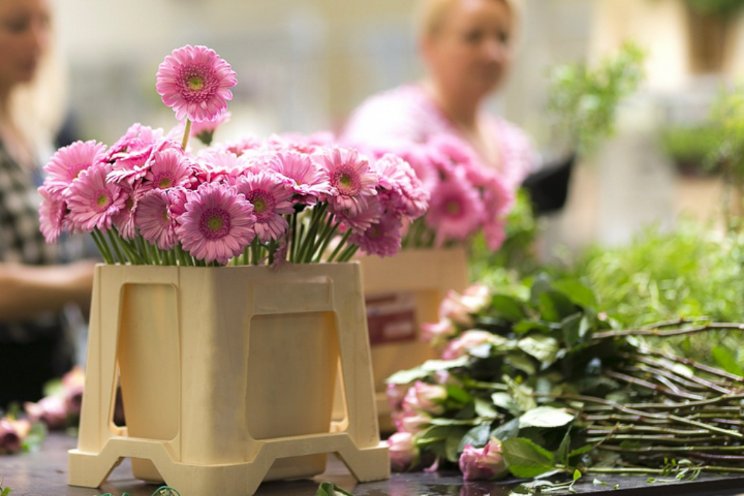 Efficiencyslag door focus bij retailtak Floral Trade Group Efficiencyslag door focus bij retailtak Floral Trade Group