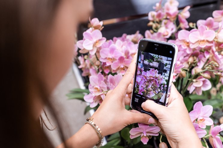 Plan jouw reis door de wereld van de orchidee Plan jouw reis door de wereld van de orchidee