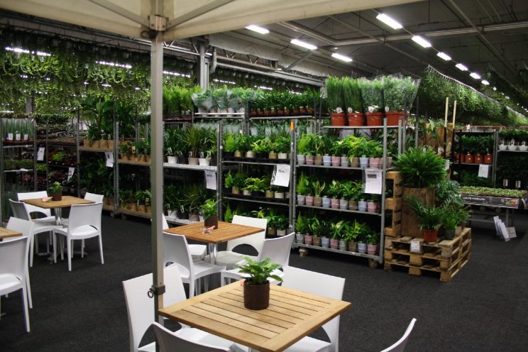 Breng een bezoek aan de Green Fair bij Vireõ Breng een bezoek aan de Green Fair bij Vireõ