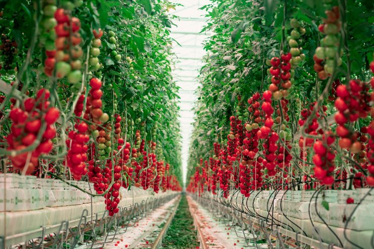 Source.ag introduceert Source Irrigation Control Source.ag introduceert Source Irrigation Control