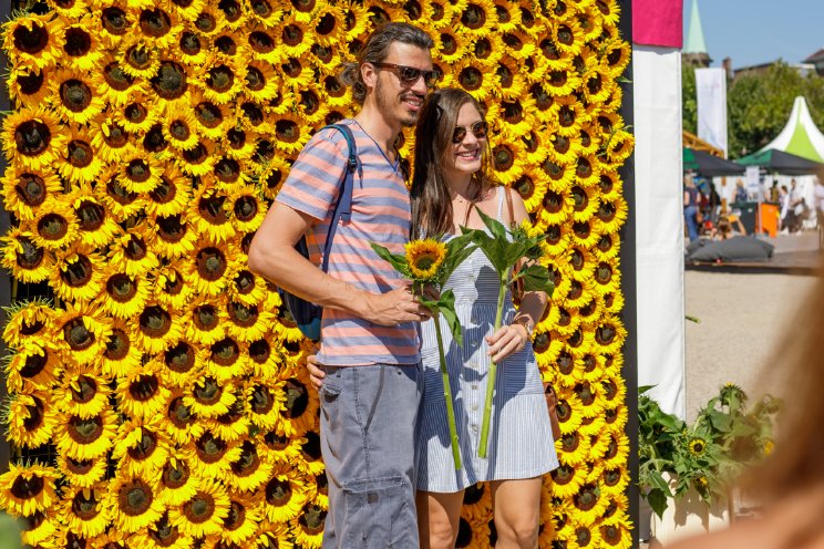 Takii luidt zomer weer in met zonnebloemenactie Takii luidt zomer weer in met zonnebloemenactie