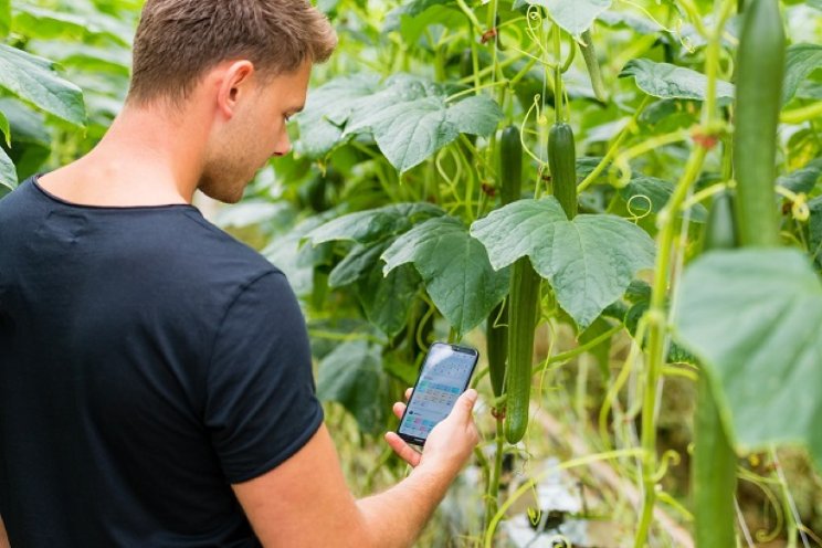 Hoe kan ik aan de slag met digitalisering in mijn teelt? Hoe kan ik aan de slag met digitalisering in mijn teelt?
