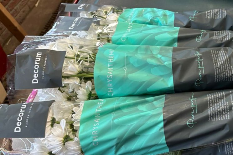 Decorum verwelkomt Janity Flowers als nieuwste lid Decorum verwelkomt Janity Flowers als nieuwste lid
