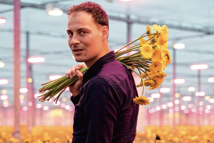 'Nek durven uitsteken' 'Nek durven uitsteken'