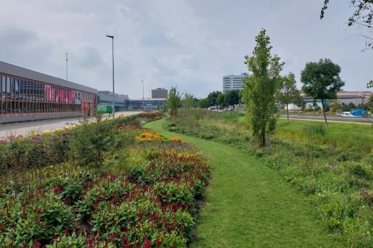 Meer biodiversiteit op Trade Parc Westland Meer biodiversiteit op Trade Parc Westland
