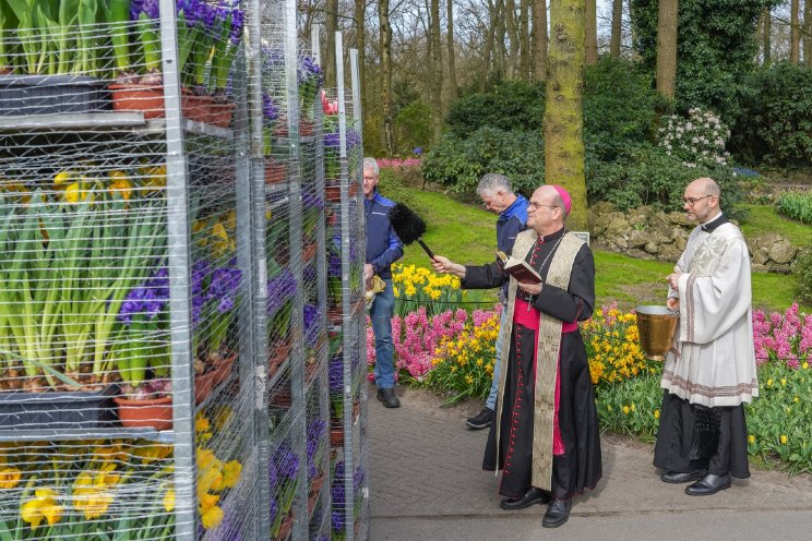 Bloemen weer onderweg naar Sint-Pietersplein Bloemen weer onderweg naar Sint-Pietersplein