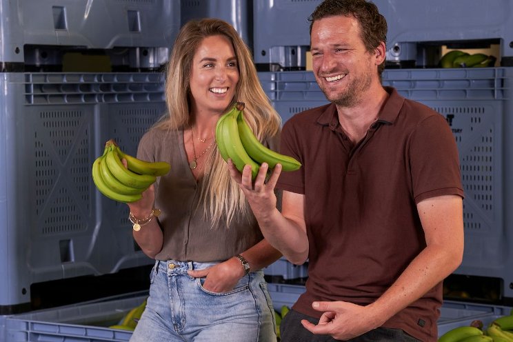 The Banana Factory The Banana Factory