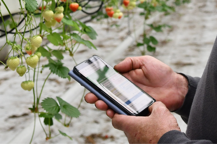 Inagro onderzoekt nieuwe monitoringstechnologie Inagro onderzoekt nieuwe monitoringstechnologie