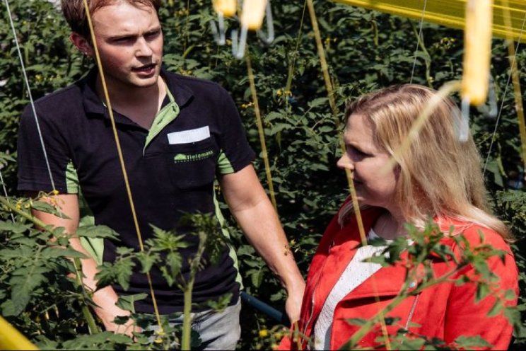 Cursus Scouten plagen in bedekte teelt (subsidie) Cursus Scouten plagen in bedekte teelt (subsidie)