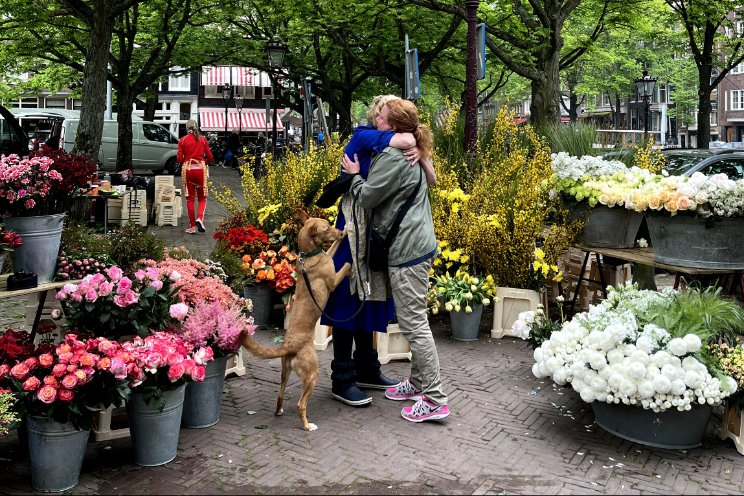 Troostrijke bloemen op de dag na Moederdag Troostrijke bloemen op de dag na Moederdag